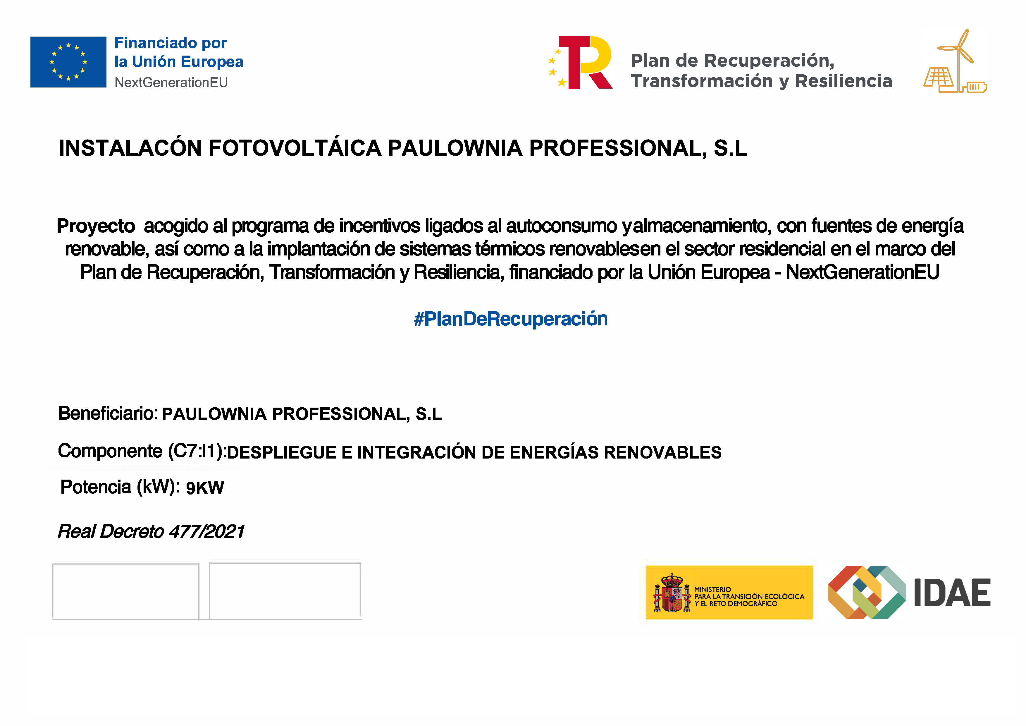 Fotovoltaico en Paulownia Professional