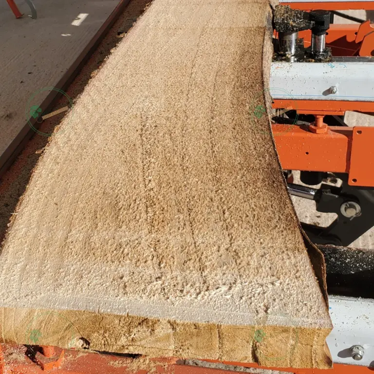Unedged Paulownia Board 1500x100-200x10 mm grade A