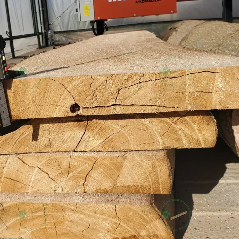 Unedged Paulownia Board 1500x100-200x10 mm grade A