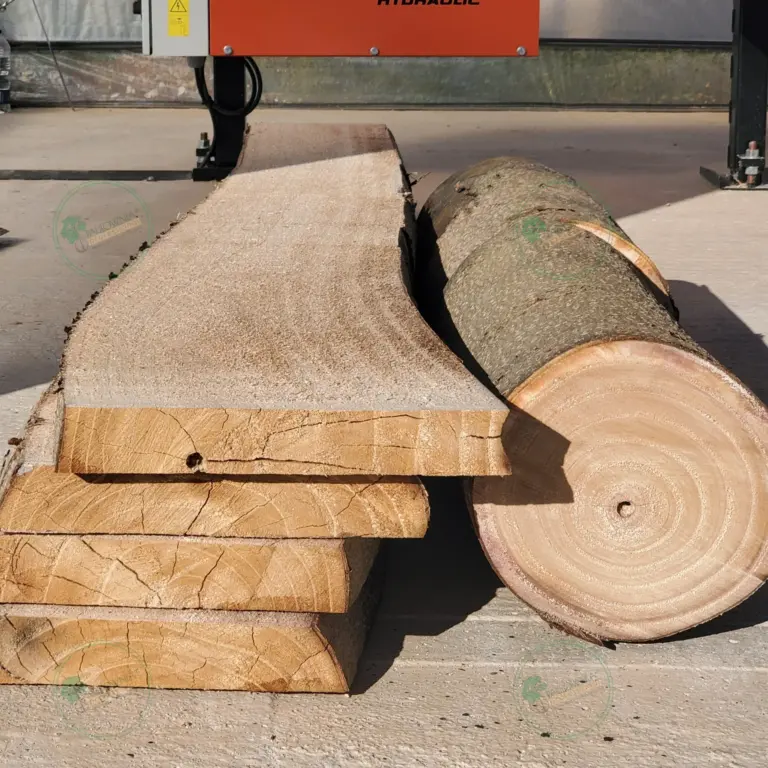Unedged Paulownia Board 1500x100-200x10 mm grade A