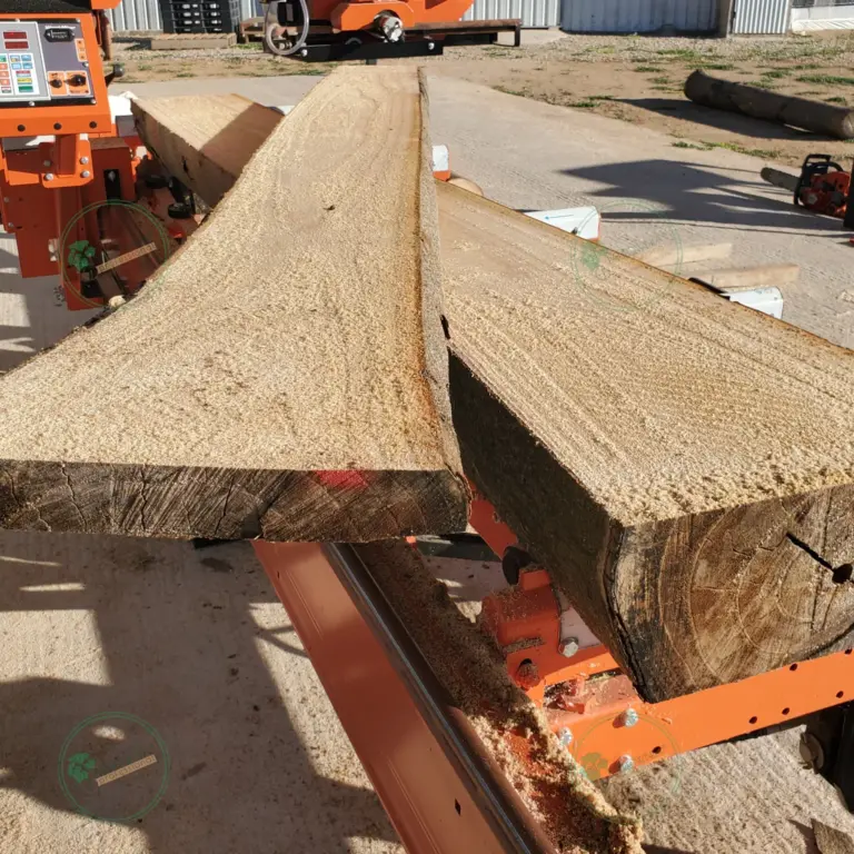 Unedged Paulownia Board 1500x100-200x10 mm grade A