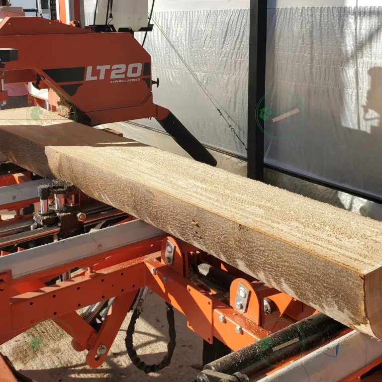 Unedged Paulownia Board 1500x100-200x20 mm grade A