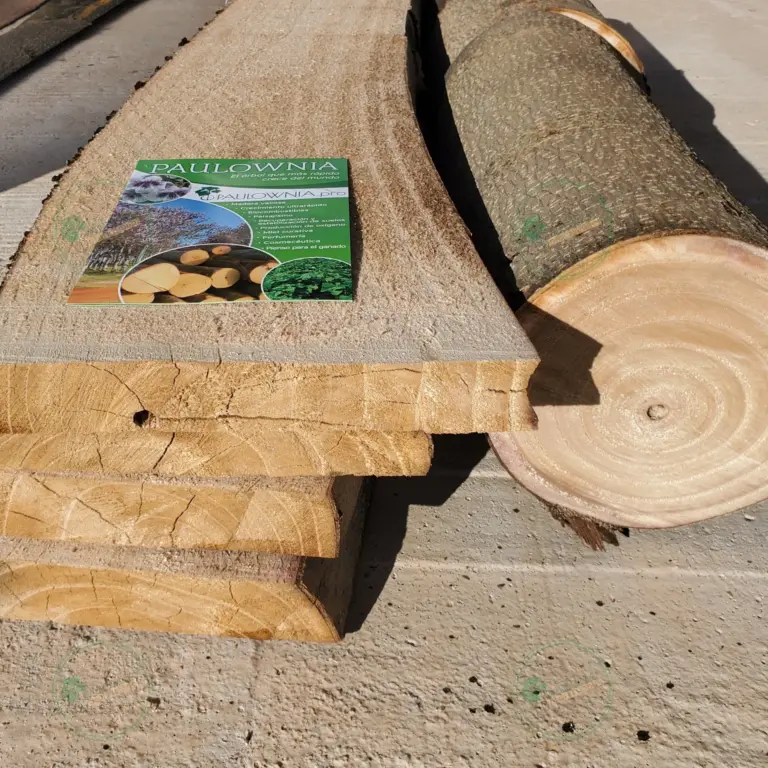 Unedged Paulownia Board 1500x100-200x20 mm grade A