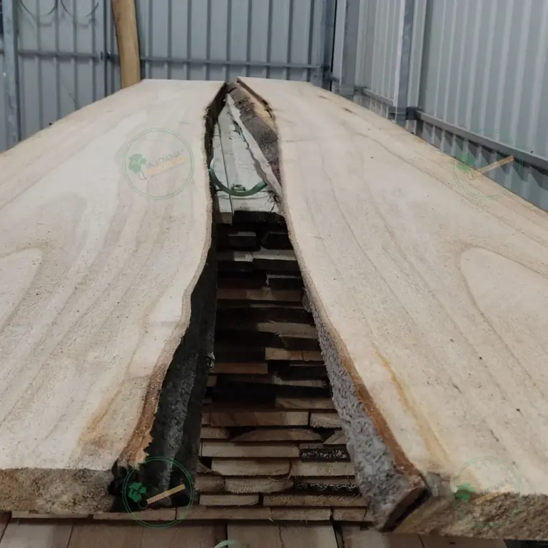 Unedged Paulownia Board 1500x100-200x25 mm grade A