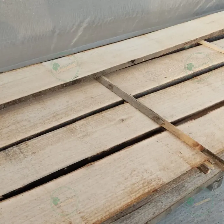 Unedged Paulownia Board 1500x100-200x30 mm grade A