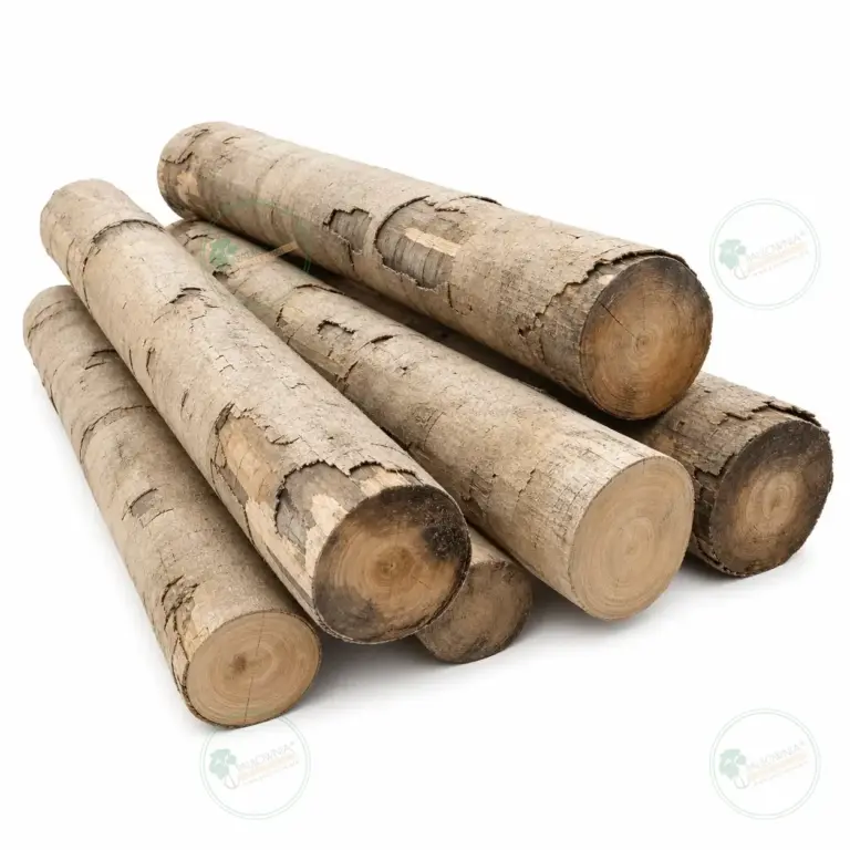 Tronco seleccionado a medida de Paulownia 1800 x Ø200 mm