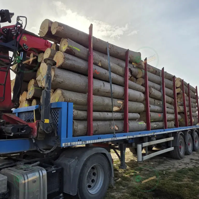 Tronco seleccionado a medida de Paulownia 1800 x Ø200 mm