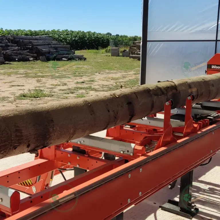 Tronco seleccionado a medida de Paulownia 1800 x Ø200 mm